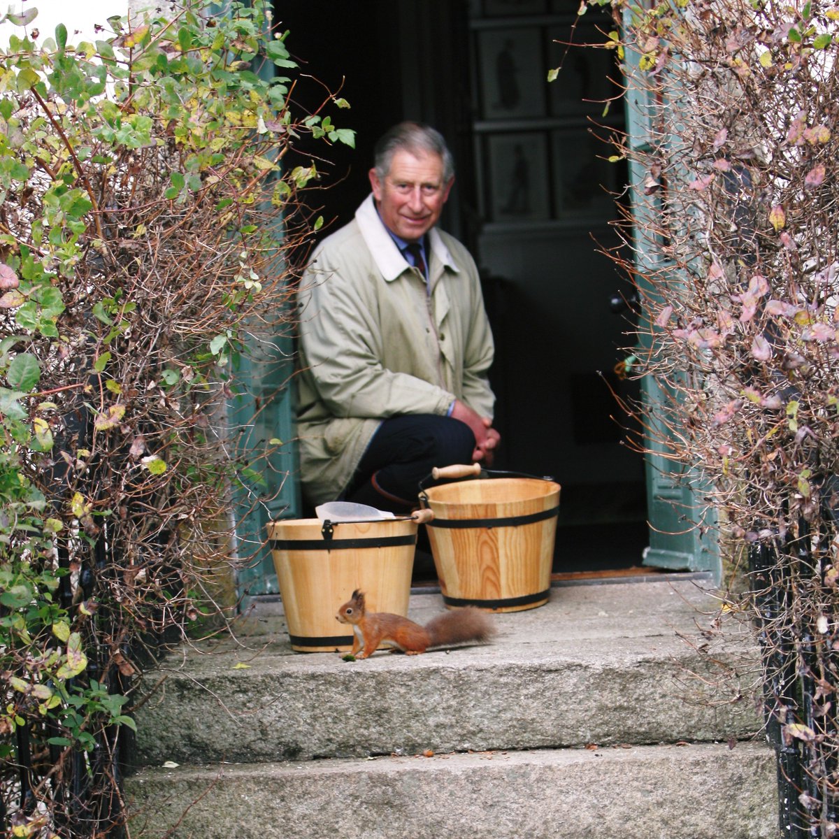 Today is #RedSquirrelAppreciationDay! 👏 A chance to celebrate both our most treasured national wildlife, and those who ensure the protection of their habitat and future. 🌰

📷 HRH with a red squirrel outside Birkhall, Scotland.
