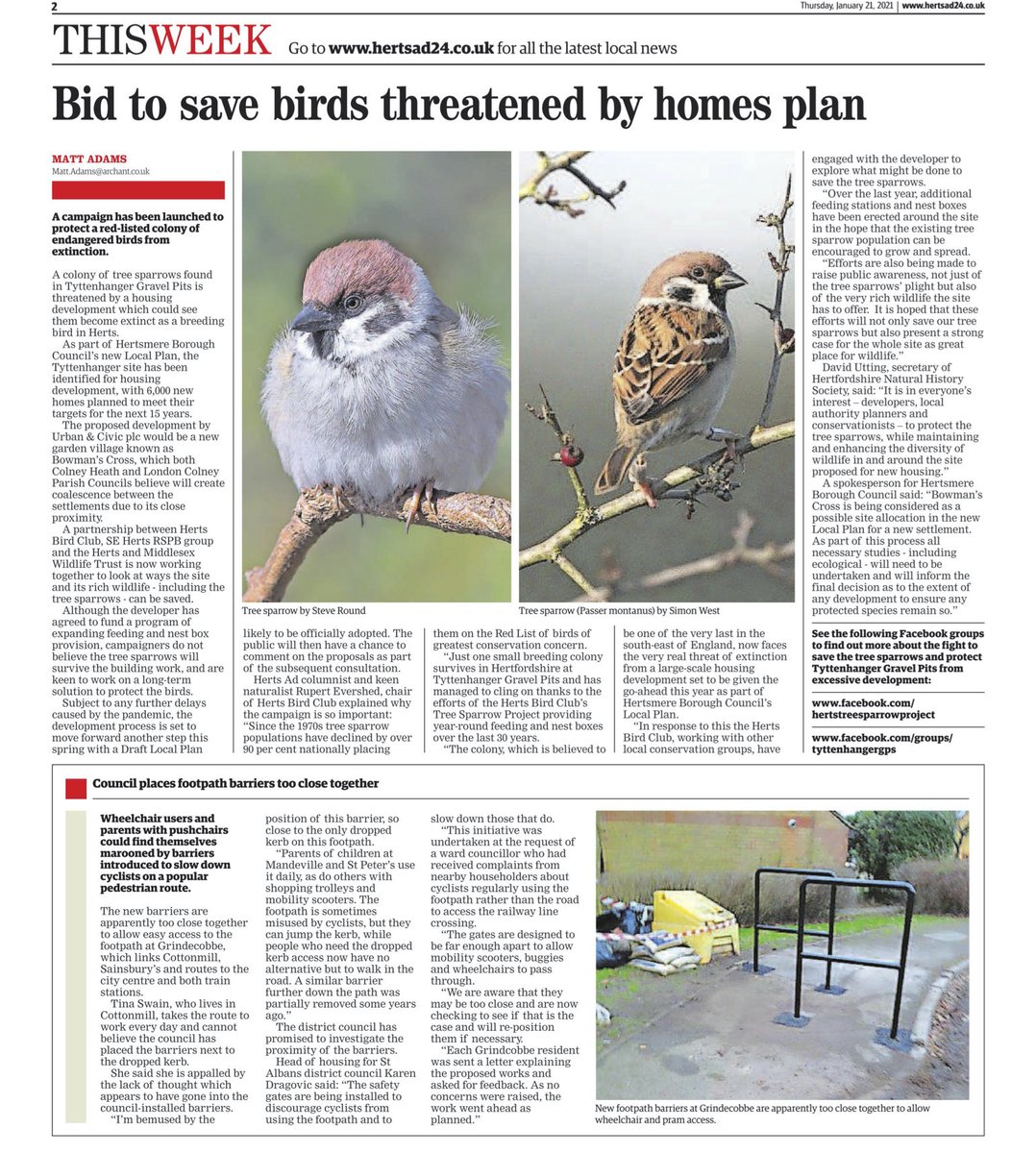 Save Tyttenhanger! tweet media