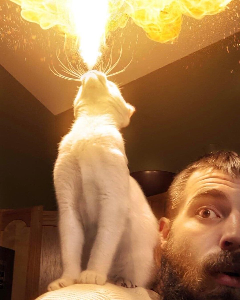 hugo_mab's tweet photo. @Makadaamm Mon chat : https://t.co/8NdxjuWg71