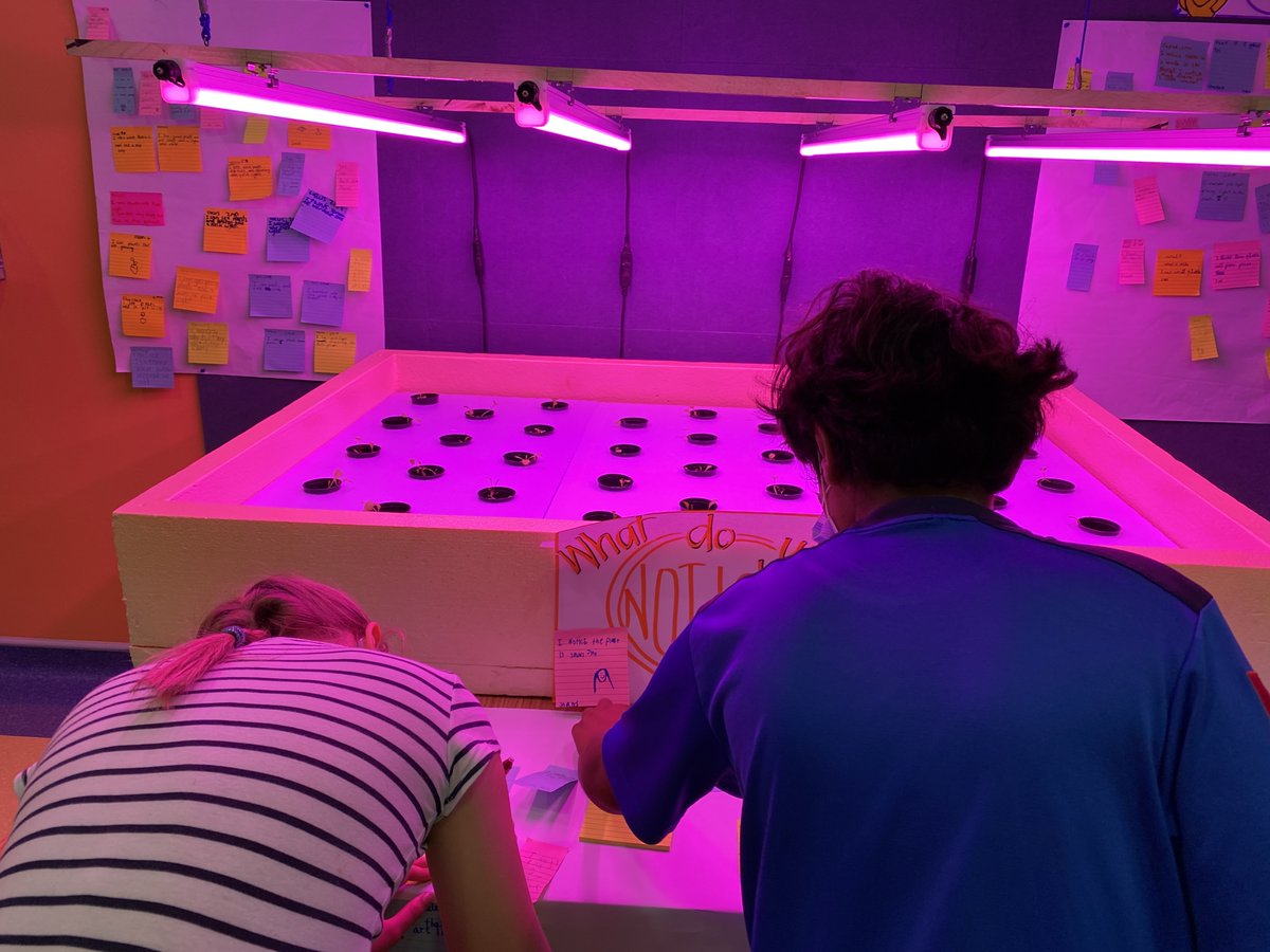 Mark (@pypmark) on Twitter photo After a slight delay to the school year, I'm starting the year 2021 in my new home <a href="/GESatKAUST/">Gardens Elementary</a>, inquiring into an amazing hydroponics setup from <a href="/redseafarms/">Red Sea Farms</a>. All about curiosity and innovation when inquiring into our Sharing the Planet unit #pyp #pypchat After a slight delay to the school year, I'm starting the year 2021 in my new home <a href="/GESatKAUST/">Gardens Elementary</a>, inquiring into an amazing hydroponics setup from <a href="/redseafarms/">Red Sea Farms</a>. All about curiosity and innovation when inquiring into our Sharing the Planet unit #pyp #pypchat