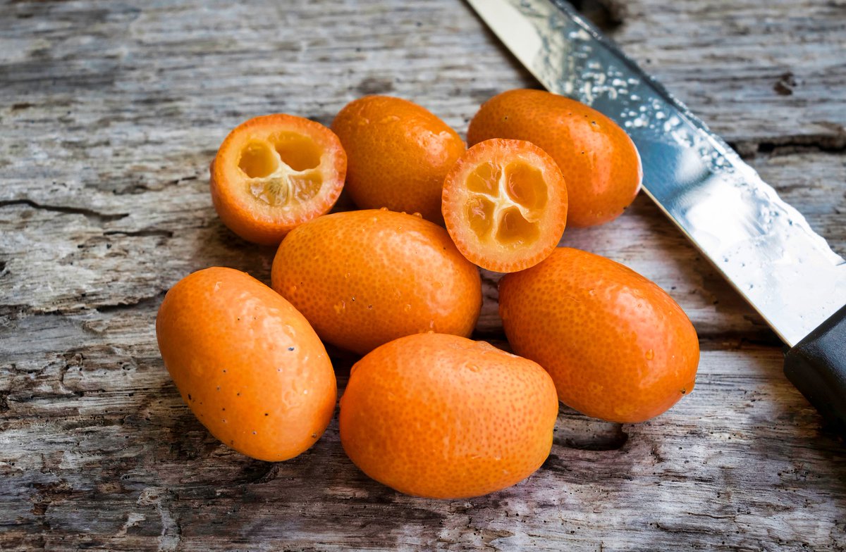 ecorganic_'s tweet photo. Ya tenemos #kumquat en nuestras fruterías!🤩👏

🍊Es rico en Vitamina C, potasio y ácido fólico. 
🍊Posee gran cantidad de fibra. 
🍊Tienen propiedades antioxidantes gracias a los carotenoides 
🍊Contiene minerales y oligoelementos, como magnesio o calcio.

Disfrutalo😋 https://t.co/u2Fy2RLdG1