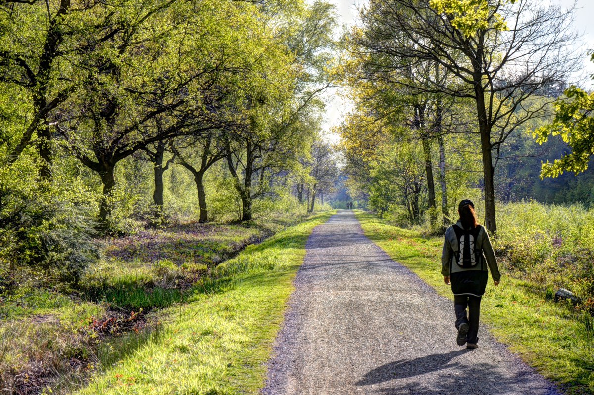 The Covid-19 pandemic has highlighted many disparities, including access to nature. Alongside our partners at the Outdoor Access Coalition, we are calling for the Environment Bill to prioritise better access to the great outdoors for everyone @gillett_dj: sustrans.org.uk/our-blog/news/…