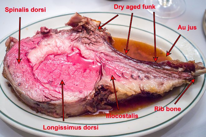 Nick Solares tweet media