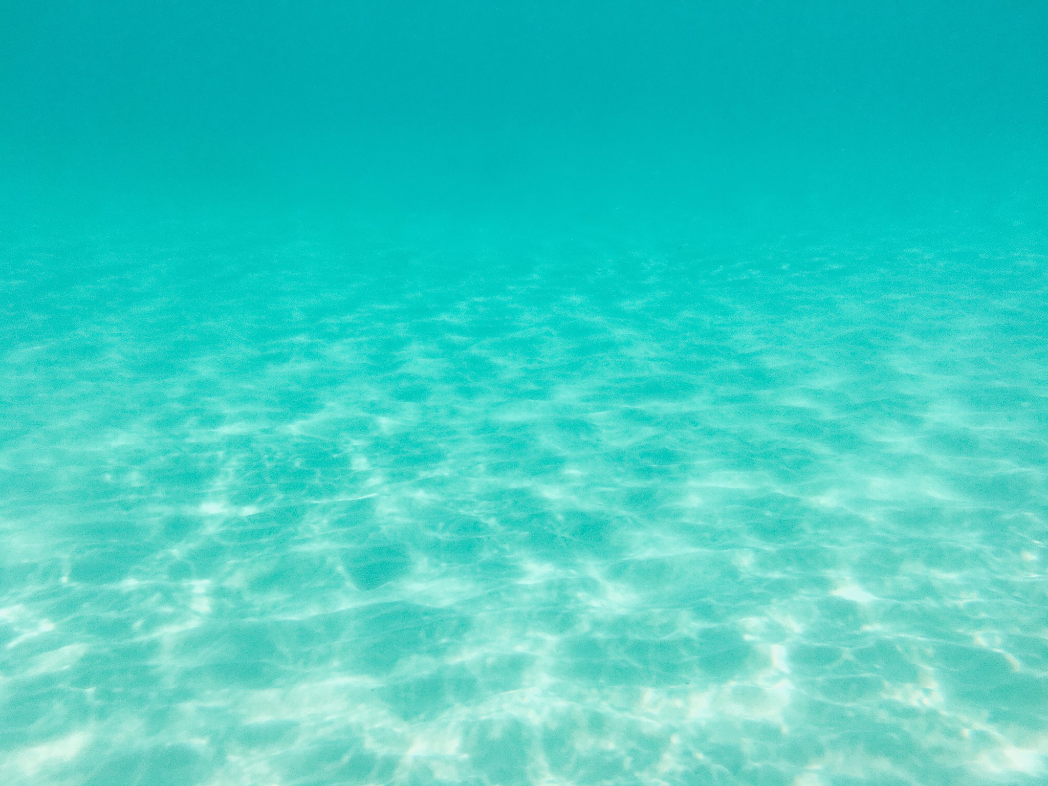 Tsunekawa 旅する喫茶 クリームソーダ職人 エメラルドグリーンの海を注いだようなクリームソーダ T Co Xkyscv919t Twitter Tsunekawa 旅する喫茶 クリームソーダ職人 エメラルドグリーンの海を注いだようなクリームソーダ T Co Xkyscv919t Twitter