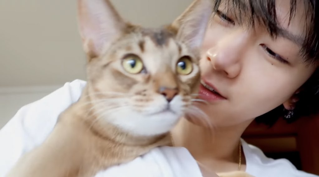 🌸|| Zxirii || 🐈‍⬛▫️ tweet media