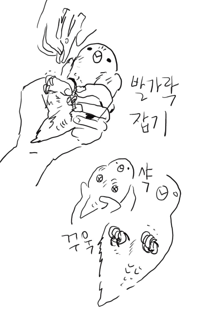 저희집은 듬직이만 뻗정이라 유독 발톱이 덧나기때문에 듬직이를 주로 깎는데 평소엔 주먹을 쥐고(?) 펴지않으며 버티기때문에 발가락을 한개씩 잡아가며 자릅니다. 중간에 놓치면 꽉쥐어서 떼어내기힘듭니다? https://t.co/N1jBOTUPaZ