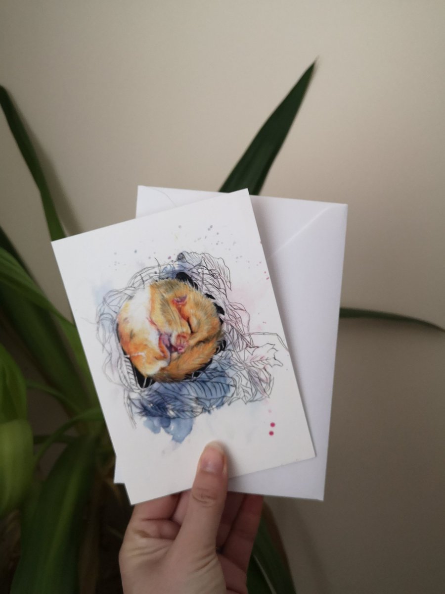RosieDolton's tweet photo. #Animal #prints and #cards, perfect for #valentinesday or a treat for yourself! https://t.co/B5ORLKA7Hk

#mothersday #art #uniquegifts #givethegiftofart #etsy #artist #bristolartist #animalart #britishwildlife https://t.co/uiSG14OLPP