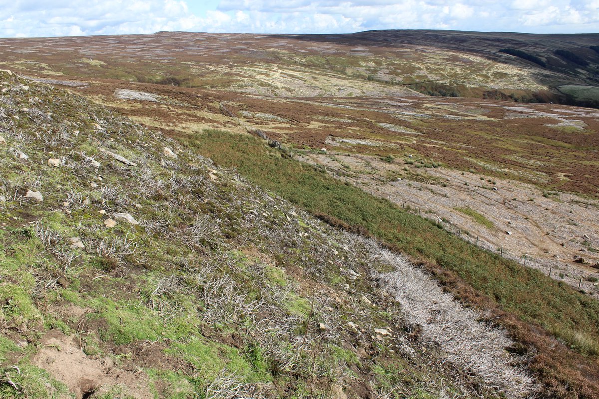 The government has said its England Peat Strategy will set out the next steps for protecting communities from flooding by ending burning. It has been delayed for the past two years.In that time over 660 fires have been set by grouse moors on northern England's peatland hills.