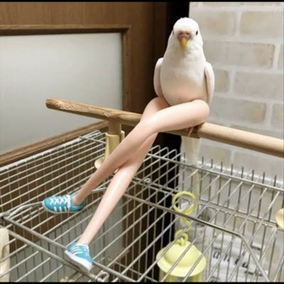 chubbyboots's tweet photo. #NewProfilePic https://t.co/e9xPRF7qOU