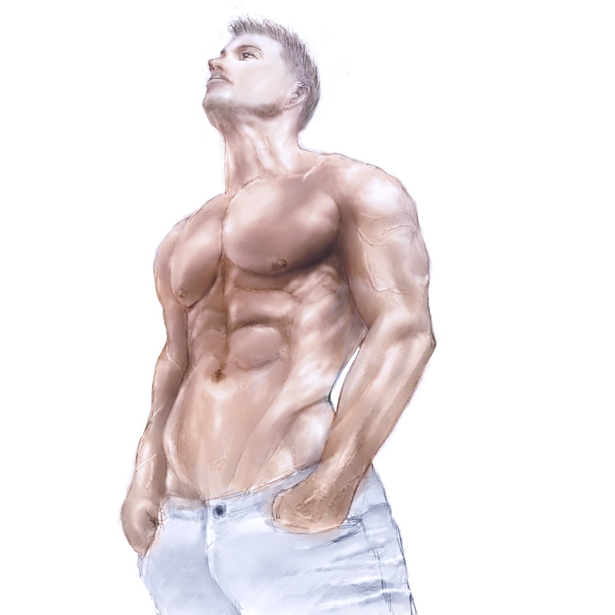 銀狐 Ras キムラッキ復習で描いてみたのですが アオリは難しかった 前回同様に陰影をつけた後 グリサイユで着色 前面の筋肉 を描く目的で選んだのですが すこし危いイラストかも イラスト練習中 Artwork