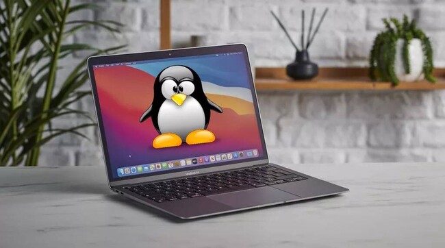 walder_franco's tweet photo. Linux ya es usable en los Mac mini M1, pero con peros: los gráficos aún van 'cojos' sin aceleración hardware #Linux #opensource #linuxdo https://t.co/6o2b3VoHUz