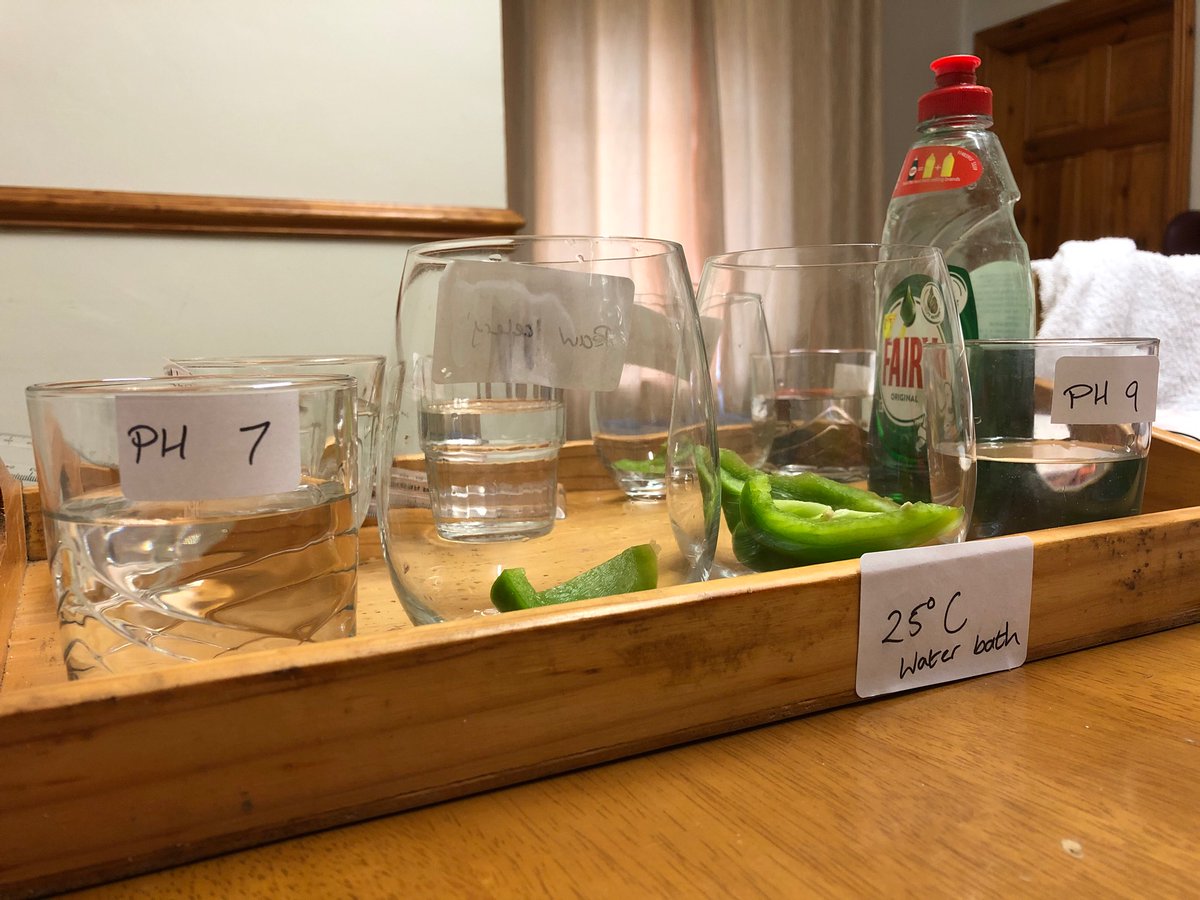 Mr Devlin tweet media