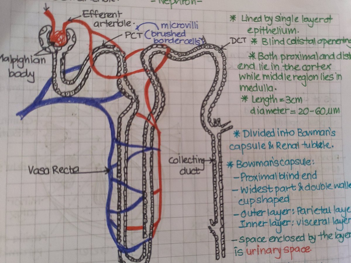 Sharvari Pitke (@pitkesharvari) on Twitter photo Old notes, new excitement!
Thanks Karishma ma'am <a href="/KaushikLab/">Kaushik Lab - Immunometabolism & Neuroinflammation</a> !!😁😁 Old notes, new excitement!
Thanks Karishma ma'am <a href="/KaushikLab/">Kaushik Lab - Immunometabolism & Neuroinflammation</a> !!😁😁