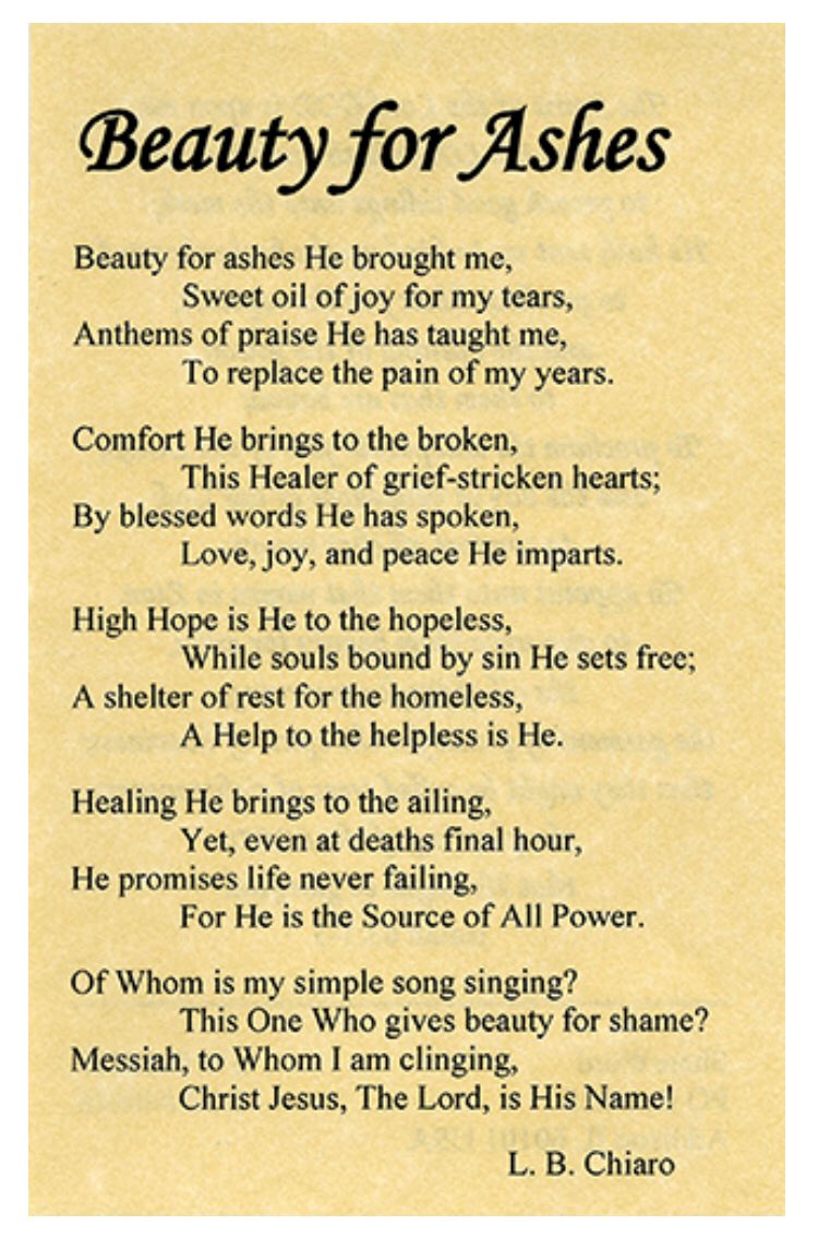 A M De Nuccio II (@bridesongchorus) on Twitter photo 