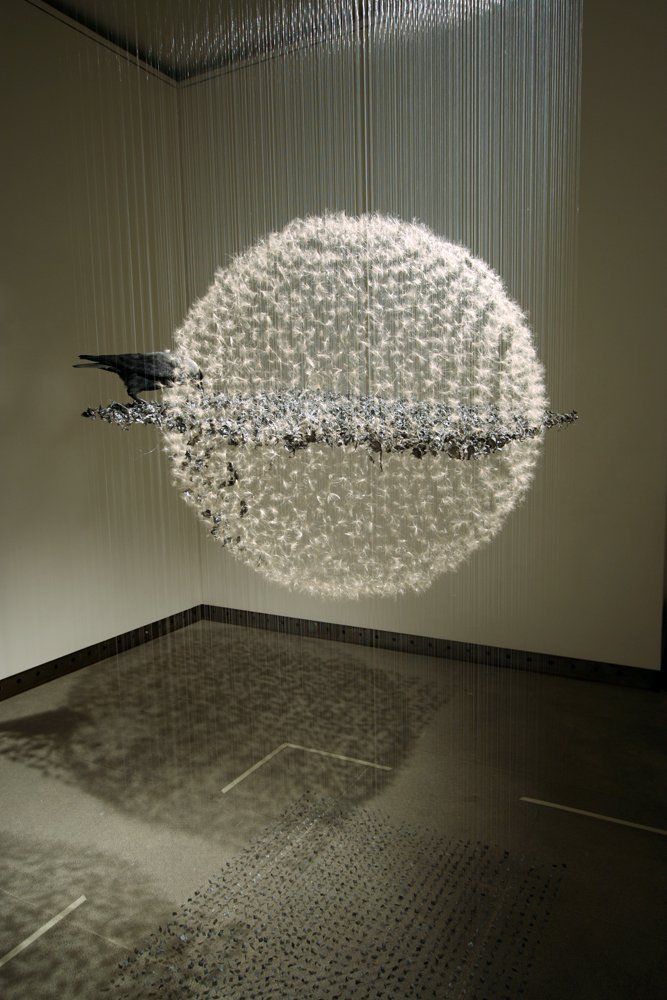 womensart1's tweet photo. Claire Morgan, contemporary Northern Ireland born installation artist who uses natural materials such as dandelion seeds #womensart https://t.co/D5VzS7BobK