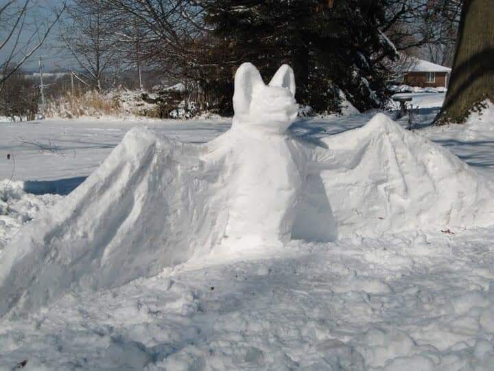 lothiansbats's tweet photo. Looking for some #snowbuilding inspiration? Why not try your hand at a #snowbat!
(picture nicked from fb, sorry can't credit the awesome originator) 
#lovebats #snowday #wfm 😉 https://t.co/LS9SzSlTK8
