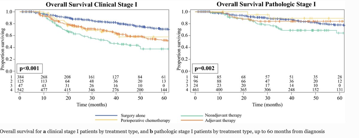 AnnSurgOncol's tweet photo. JANUARY ISSUE: Should #SignetRingCell Histology Alter the Treatment Approach for Clinical Stage I #GastricCancer? https://t.co/loZ9DAWREy @McMastersKelly @SocSurgOnc https://t.co/VcIF6QBcNv