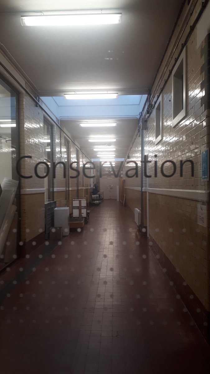 This iconic building has held collections here for over 30 years but the government who owns it is selling it (to be converted into very fancy flats of course) and each museum has to get everything packed and out safely.