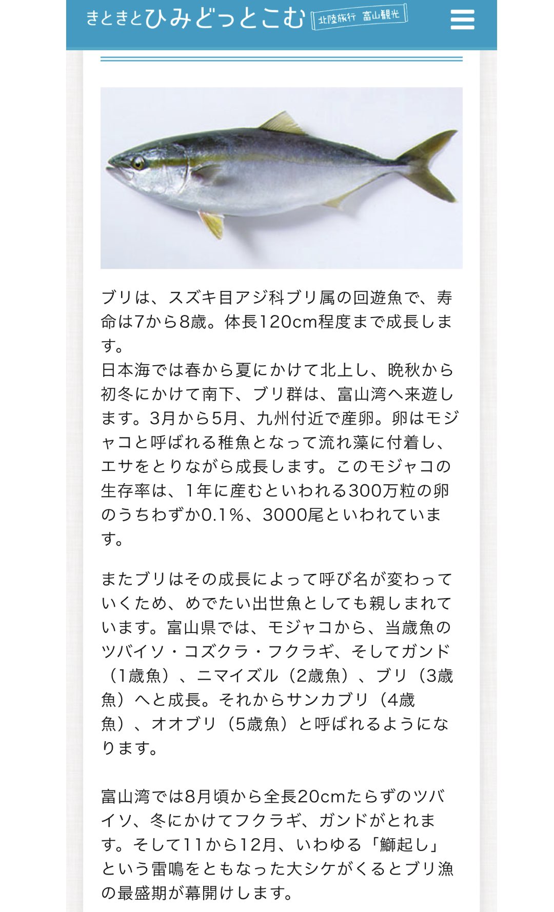 富山 圏域関連情報 情報提供随時受付 出世魚と呼ばれる ブリ 鰤 ですが 富山での呼び名は ツバイソ コズクラ フクラギ ガンドブリ 1歳魚 さらに ニマイズル 2歳魚 ブリ 3歳魚 へと成長 それからサンカブリ 4歳魚 オオブリ 5歳魚