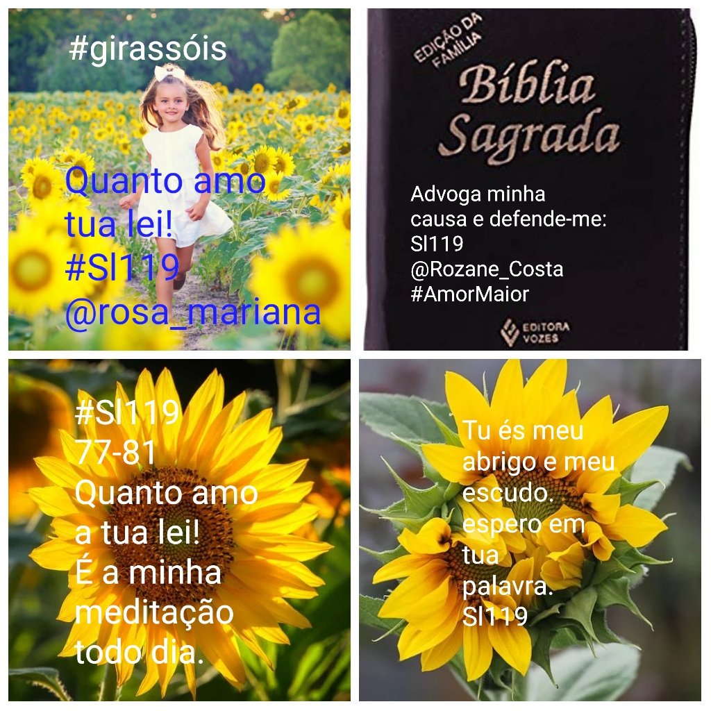 Rozane_Costa's tweet photo. #TestemunhoDeJesus #TrindadeSanta #Três #conectadosComAPalavra #TempoDeBuscarJesus #decisão #objetivo #Educação #enem
@RosaMar14112784 "Quem vencer, herdará todas as coisas; e eu serei seu Deus, e ele será meu filho."#PrincípioEfim #AcessarBiblia
Ap1,3-5.8* https://t.co/QzMdqsuTiO
