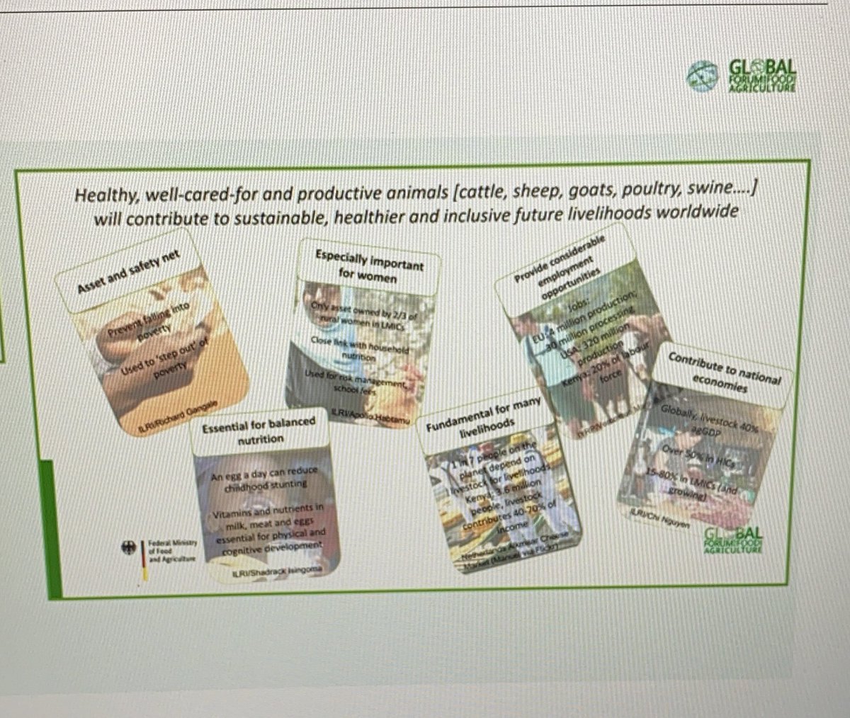 Multiple social roles held by livestock production in the world.. must seen Panel on advancing the 3 pillars of sustainability through better livestock health and welfare #GFFA #AnimalHealthMatters @animalhealthEU