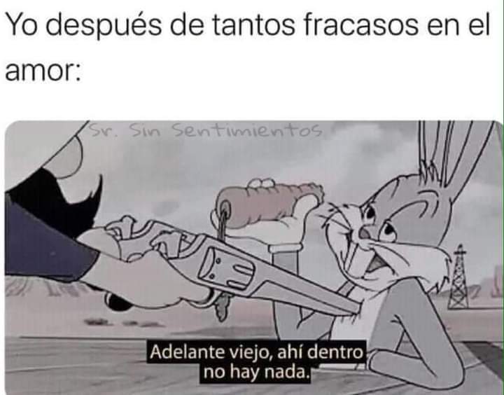 sebascastrow's tweet image. 