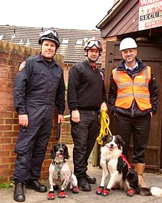 HantsFireDogs's tweet photo. #ThrowBackThursday to when FD Harvey was the new dog on the block with FD Millie showing him how it's done.
#FireInvestigation #TeamHants #999Family #OneTeam #HFRS #HantsFire #DogsWithJobs #SearchDog #FireDog #BorderCollie #SprockerSpaniel #TBT https://t.co/Yjt1VUoCnr