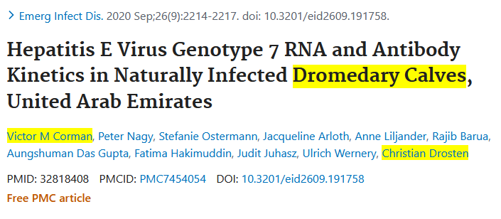 4/ Before January 2020, Drosten and Corman were common virologists at Charité Berlin, whenever they were not involved in economic implications ( https://bit.ly/3nT0OWs ). Other than that, they looked at coronaviruses in dromedary calves in the Middle East or Africa.   #cute