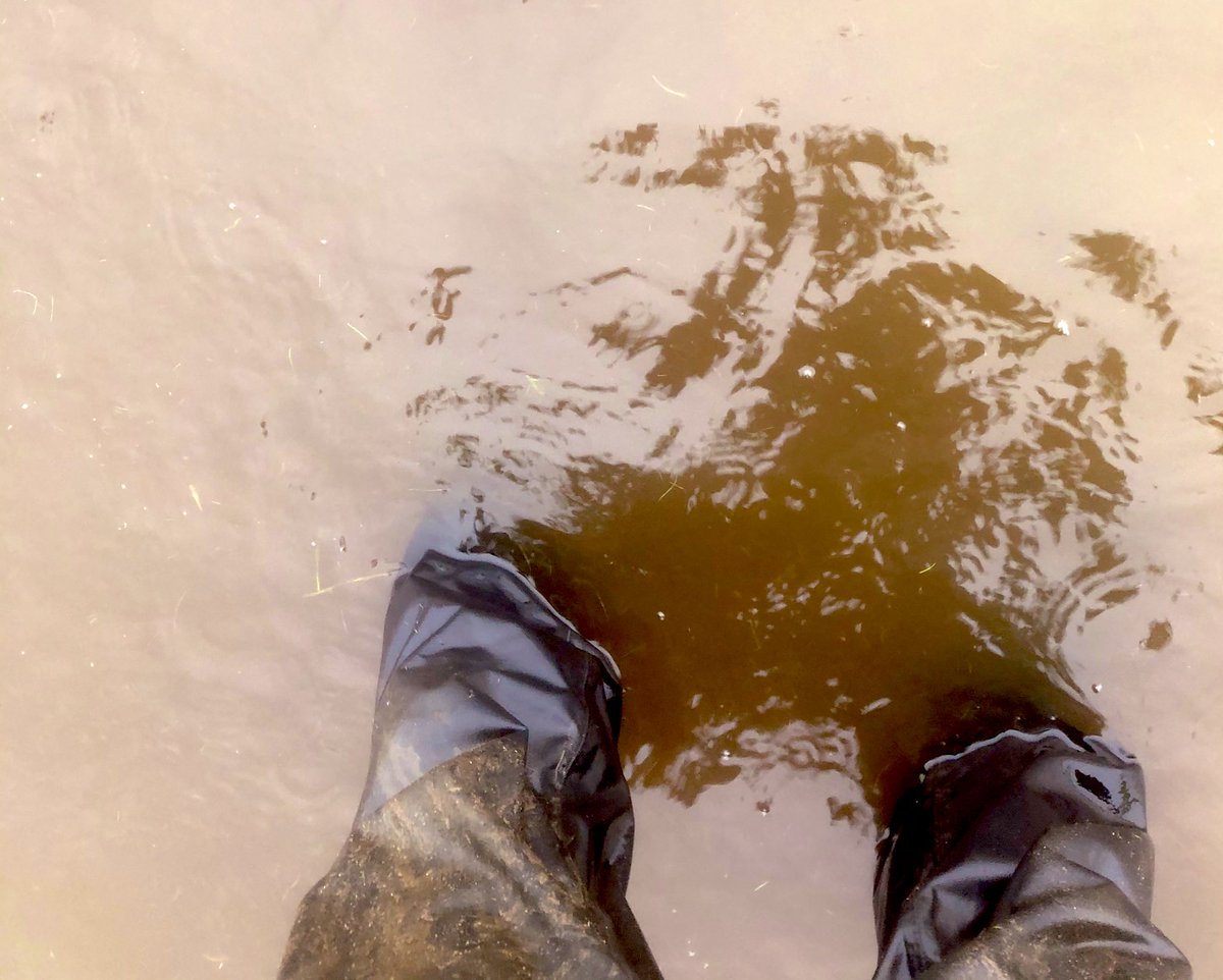 >50ml of rain since weekend (as can see in photo)
>Pumped water away in select areas 
>4th yellow &amp; white to be finished off levelling tomorrow🙌🏽 

Solid 4 days work with the adverse weather 🌧