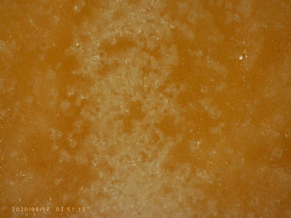 1000_stuff's tweet image. Girl Scout Cookie series: Lemonades (bottom, the iced part) x1000