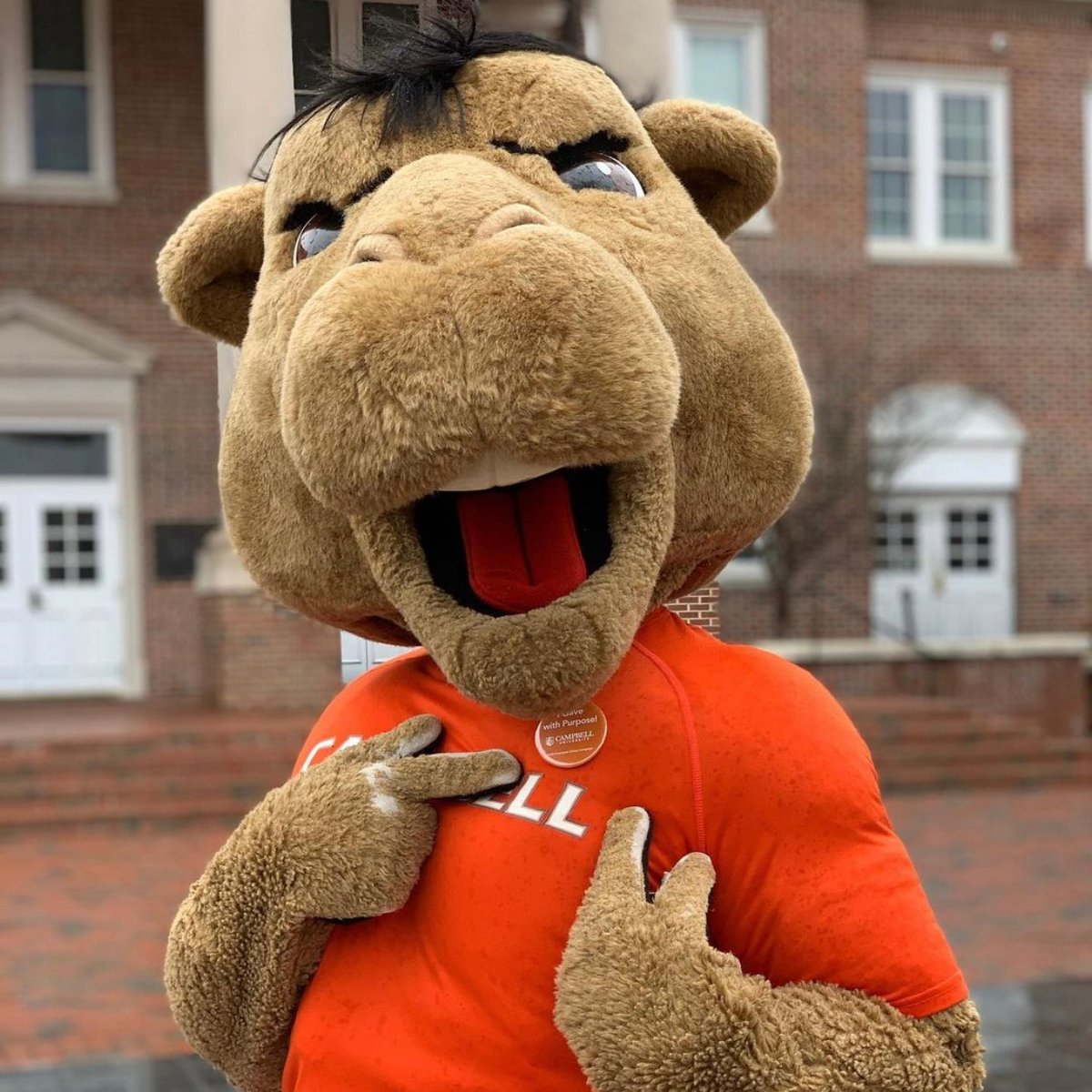 CampbellGiving's tweet photo. In Feb. 2020, the @campbelledu community united to give back in a big way, exceeding the #CampbellGivingDay goals.

This year, we are calling on our supporters everywhere to once again go orange, give back, and Go Camels!

Campbell Giving Day 2020 recap: https://t.co/luvY2PIvoR https://t.co/koHXNn8X8X