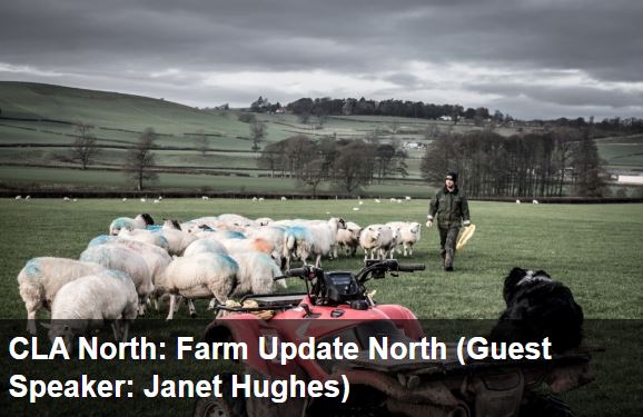 CLA North tweet media