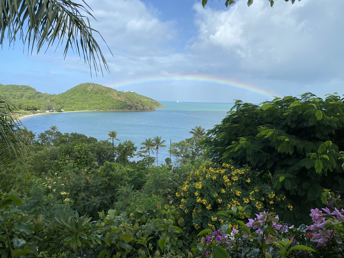 🇺🇸Carrie Crotty🇦🇬 🌴 tweet media