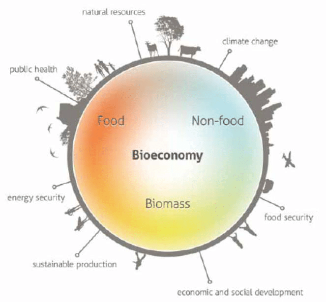 The conversion of our economy to the #bioeconomy model must be completed by 2050. The expansion of the bioeconomy is a huge investment. Planetary boundaries and the preservation of #ecosystem services must be taken into account. A healthy planet for healty people!