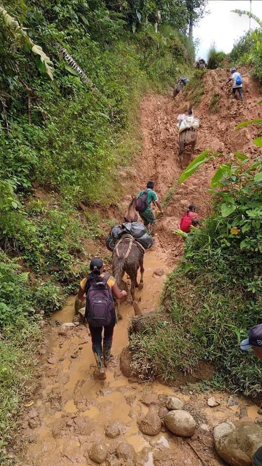 yaiza1319's tweet photo. #NosUne la preocupación Por las mal llamadas vías por las que transitan  nuestros campesinos para sacar.los alimentos. Dá pena. https://t.co/wJ4xNDQmXz