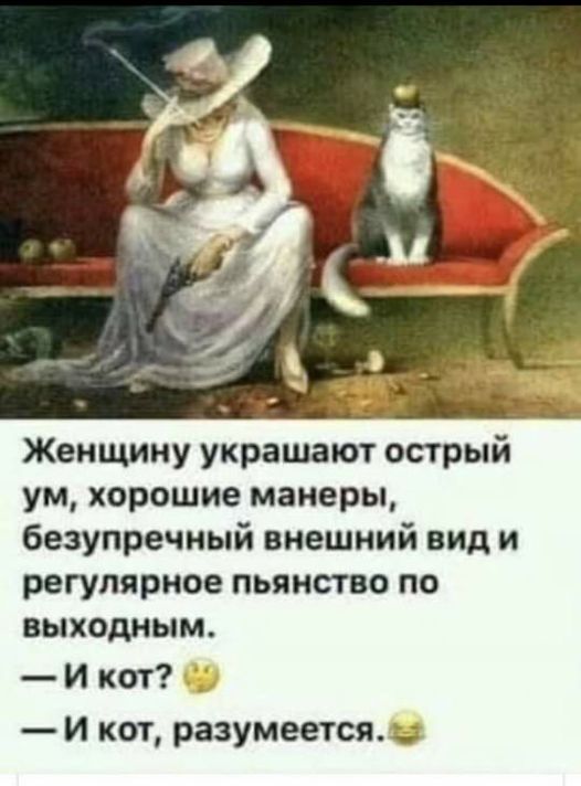 Мысли Макса, не в меру учёного кота:
- Коты и грелки, и психотерапевты, и обереги дома, и даже украшение дам.