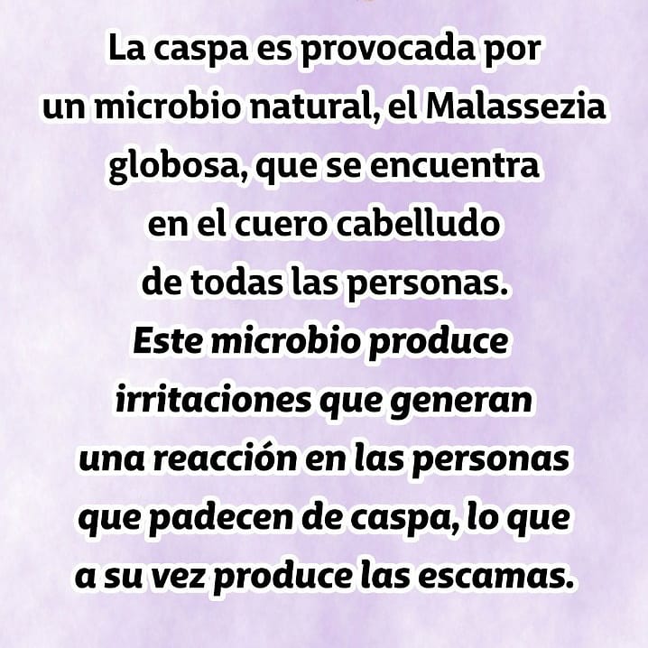 MagicHairCol's tweet photo. MUY PRONTO...‼️Magic Hair Therapy #Crecimiento #Anticaída #Reparación #Shampoo #Acondicionador #Repolarizador #Biotina #Colageno #Cejas #pestañas #Colombia #caspa #magia_en_tu_cabello #magichair #Magichairtherapy #Magiaentucabello #Cabellosano #Cabellolargo #viral #SiguemeYTeSigo https://t.co/JZNWp32eaN