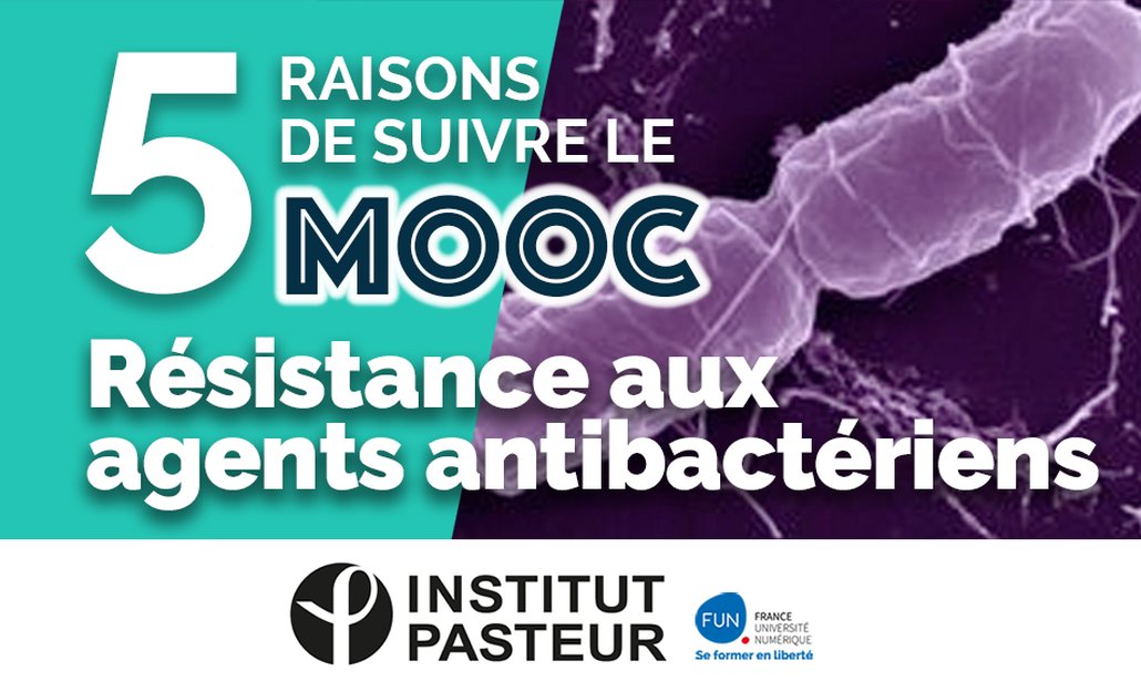 France Université Numérique (@funmooc) on Twitter photo Il y a 5 bonnes raisons de suivre le #MOOC «#Résistance aux agents #antibactériens » !
👉Raison n°1⃣ : Ce MOOC traite d'un phénomène majeur qui n’épargne aucun continent.
Les autres #raisons de suivre ce cours sont ici : fun-mooc.fr/news/5-raisons…
CC <a href="/institutpasteur/">Institut Pasteur, since 1887</a> <a href="/PasteurEdu/">Institut Pasteur Education</a> Il y a 5 bonnes raisons de suivre le #MOOC «#Résistance aux agents #antibactériens » !
👉Raison n°1⃣ : Ce MOOC traite d'un phénomène majeur qui n’épargne aucun continent.
Les autres #raisons de suivre ce cours sont ici : fun-mooc.fr/news/5-raisons…
CC <a href="/institutpasteur/">Institut Pasteur, since 1887</a> <a href="/PasteurEdu/">Institut Pasteur Education</a>