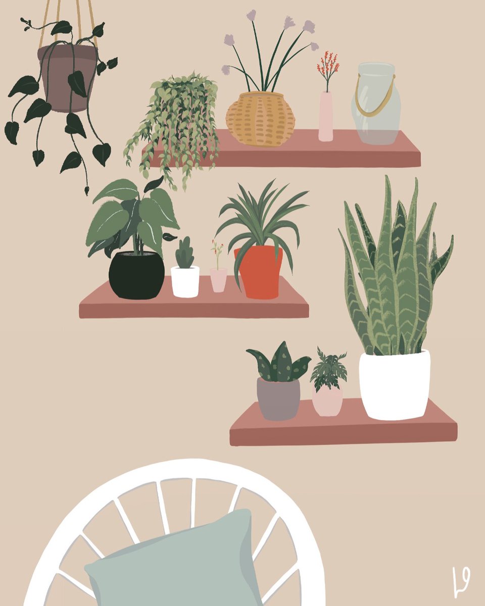 LydiaOrangeArt's tweet photo. Happy January! Keep watering those plants and dreaming of the Spring 🙏#illustrationart #houseplants https://t.co/2Gt65zSLS8