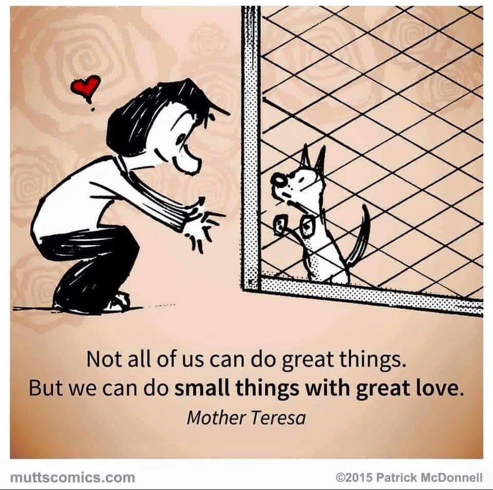 missy mosby (@missymosby) on Twitter photo 