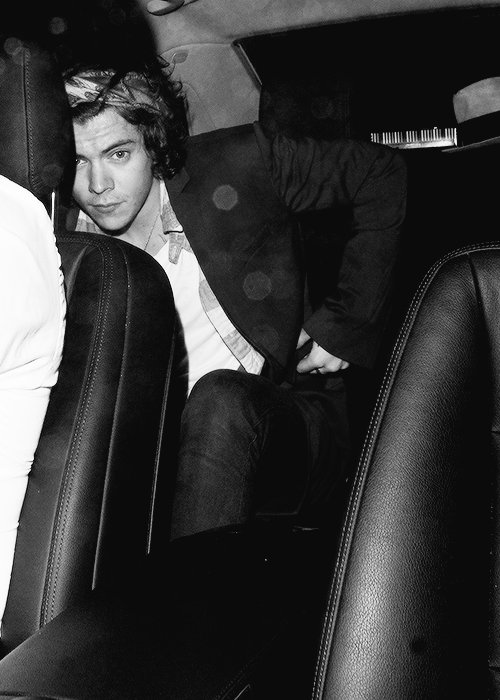 hstylespics's tweet photo. harry styles ft. the backseat https://t.co/0MM8CTdYS8