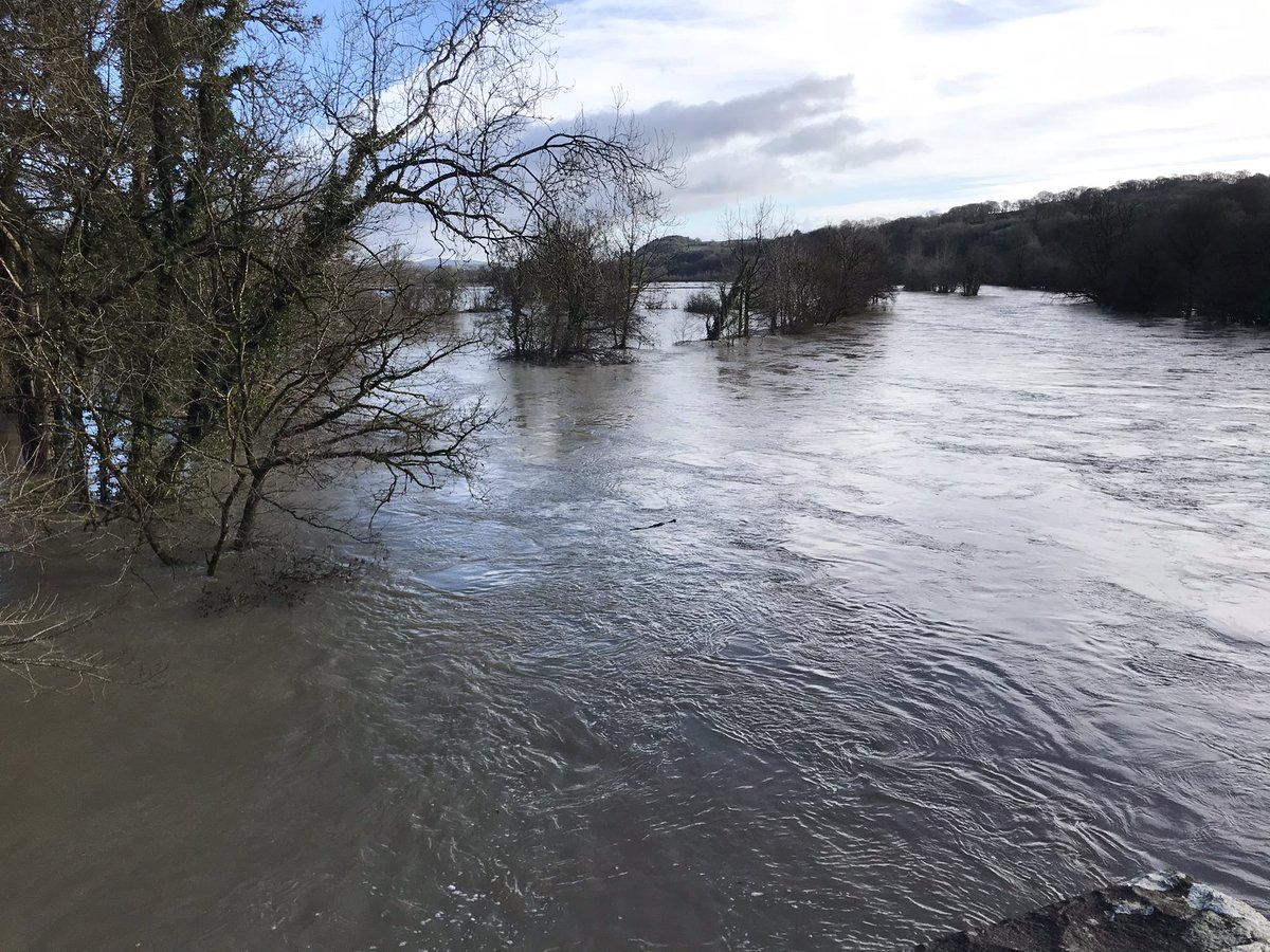 On Nantgaredig bridge this morning looking up the river Towy towards the river Cothi.  Ar bont Nantgaredig y bore ma yn edrych lan yr afon that at yr afon Cothi.