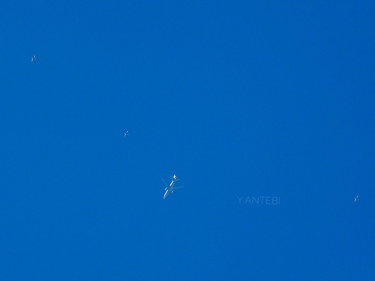 ace_pio's tweet photo. #BLUE04 #KC10 87-0118 with #F16 westbound #tanker #KC10Extender #avgeek #AirRrfeulling #AAR https://t.co/JlyXmZEeS4
