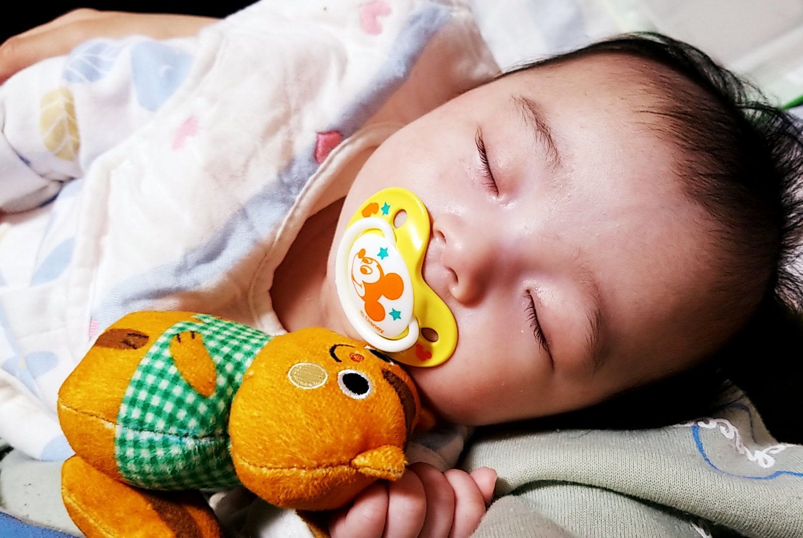 こどもちゃれんじベビー Twitter Search Twitter