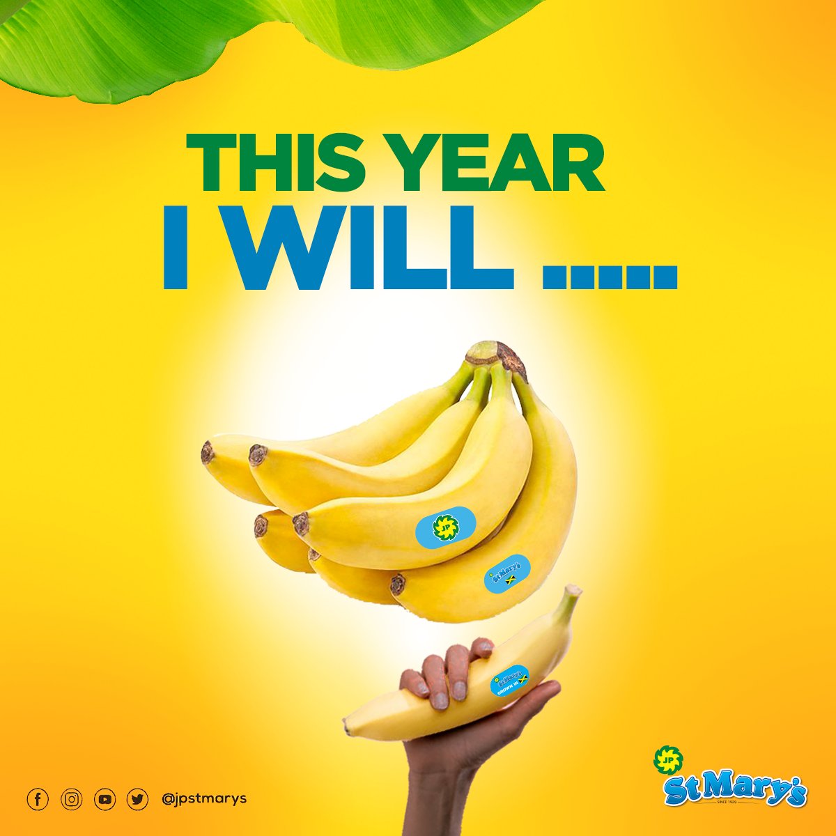 stmarysnacks's tweet photo. This Year we will peel our way to good health... one banana at a time. 

Comment below and tell us what you will do this year!

#JPSt Marys #BeFreshEatFresh #FreshStartwithJPStMarys #Bananas #Jamaica https://t.co/9wJ6paVUaH