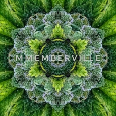 puffz 420 tweet media
