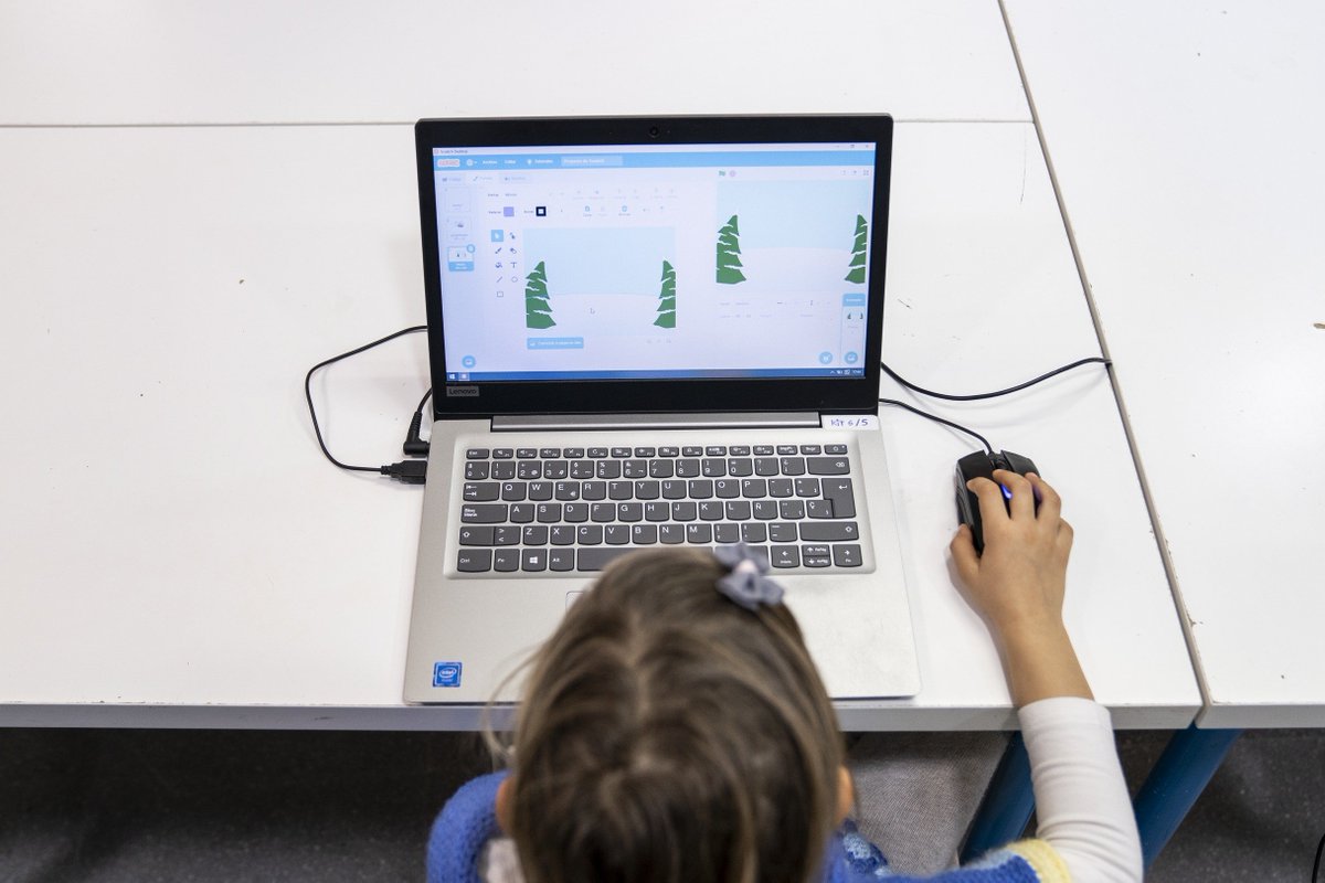 Els principals motius dels estudiants en llars de renda baixa per no haver seguit les classes en línia són: Manca d'opció formativa en línia al centre educatiu Falta de dispositius Mala connexió Manca de formació