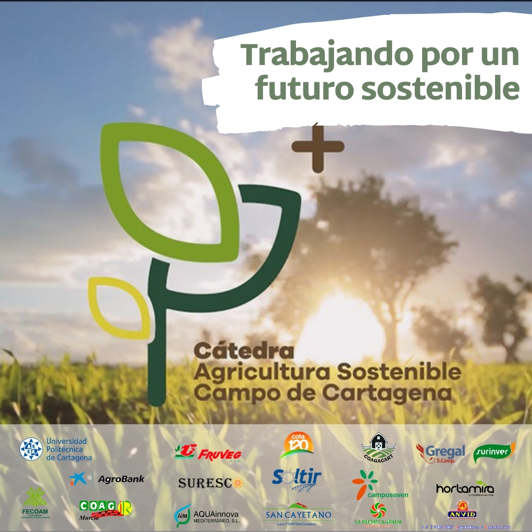 Todo el equipo de la <a href="/agr_sostenible/">Cátedra Agricultura</a> @UPCTnoticias <a href="/fecoam/">FECOAM Región de Murcia</a> <a href="/COAGMurcia/">COAG Murcia</a> seguimos trabajando por la sostenibilidad y el futuro de la actividad agrícola, creando oportunidades para toda la sociedad 🌱 #InvestigaciónEsFuturo
