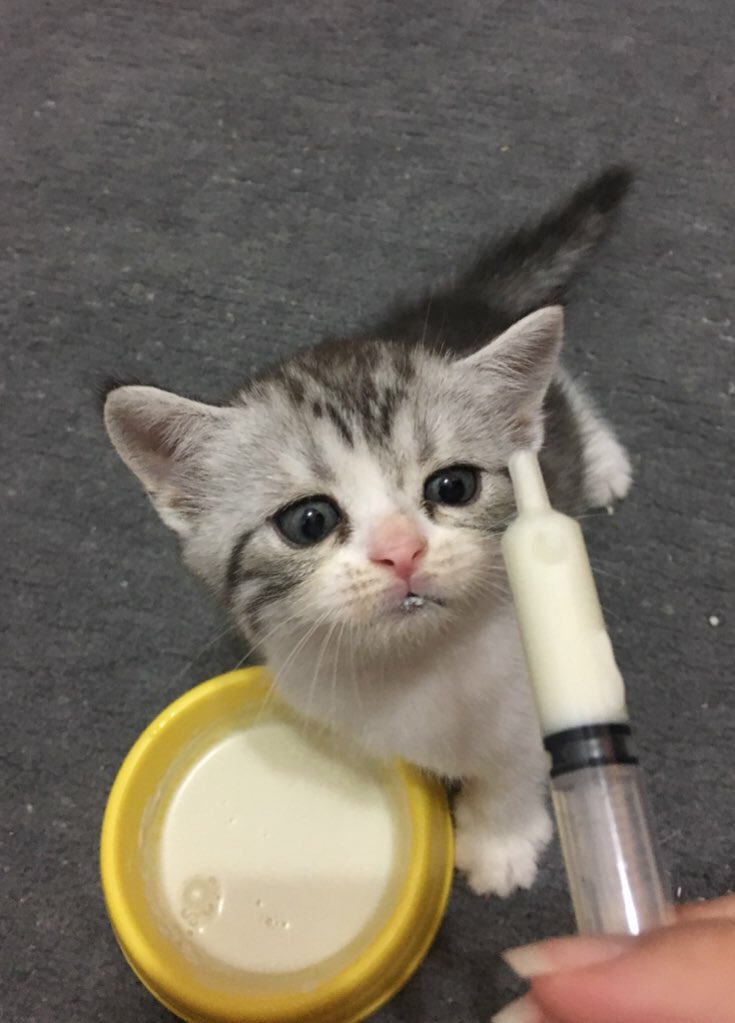 เหมือนเมื่อวานยังตัวแค่เนี้ย แปบเดียวมีลูกแน้ว คนจ๋วยขาา