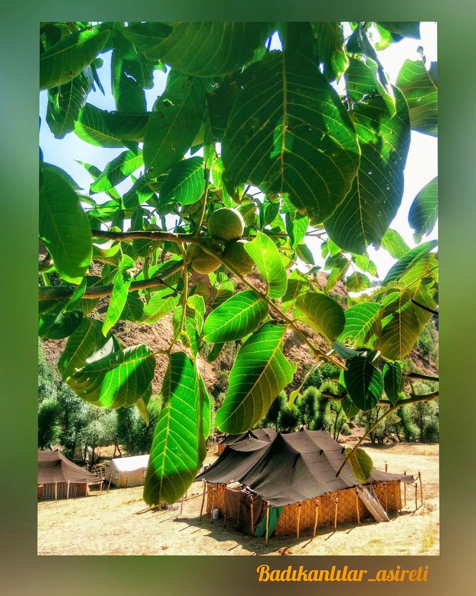 Jı terafen eşira badıka slav~u hurmet jı we hemuyan ra 👋🌺🌼